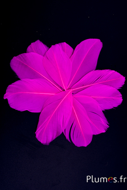 Pétales en plumes - 6-8 x 3-4 cm - fuchsia